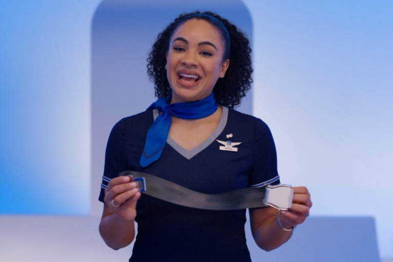 a united airlines flight attendant