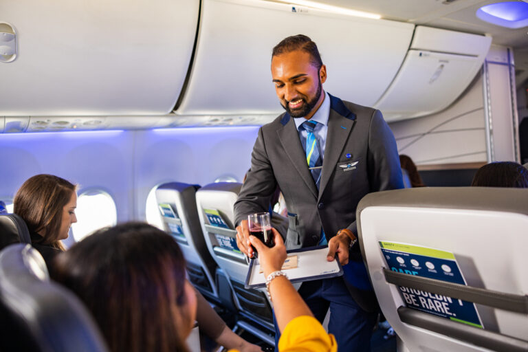 alaska airlines flight attendant